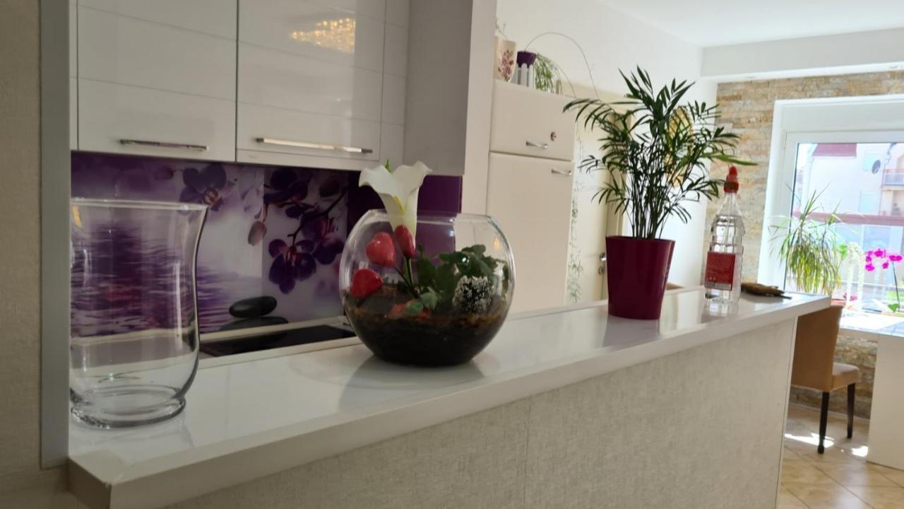 Apartman Anja Apartment Stara Pazova Exterior foto