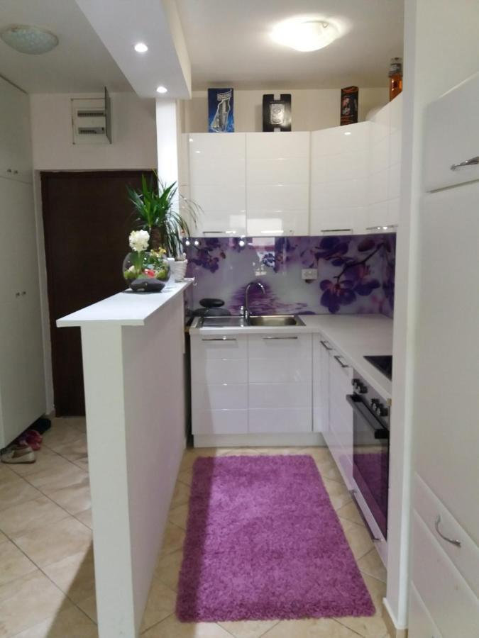 Apartman Anja Apartment Stara Pazova Exterior foto